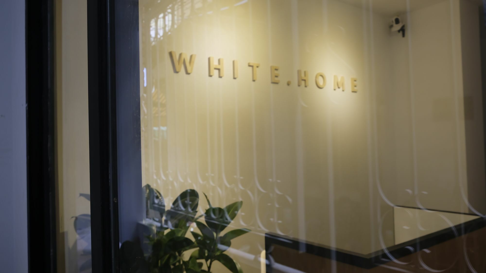 White Home مدينة هوشي منه المظهر الخارجي الصورة
